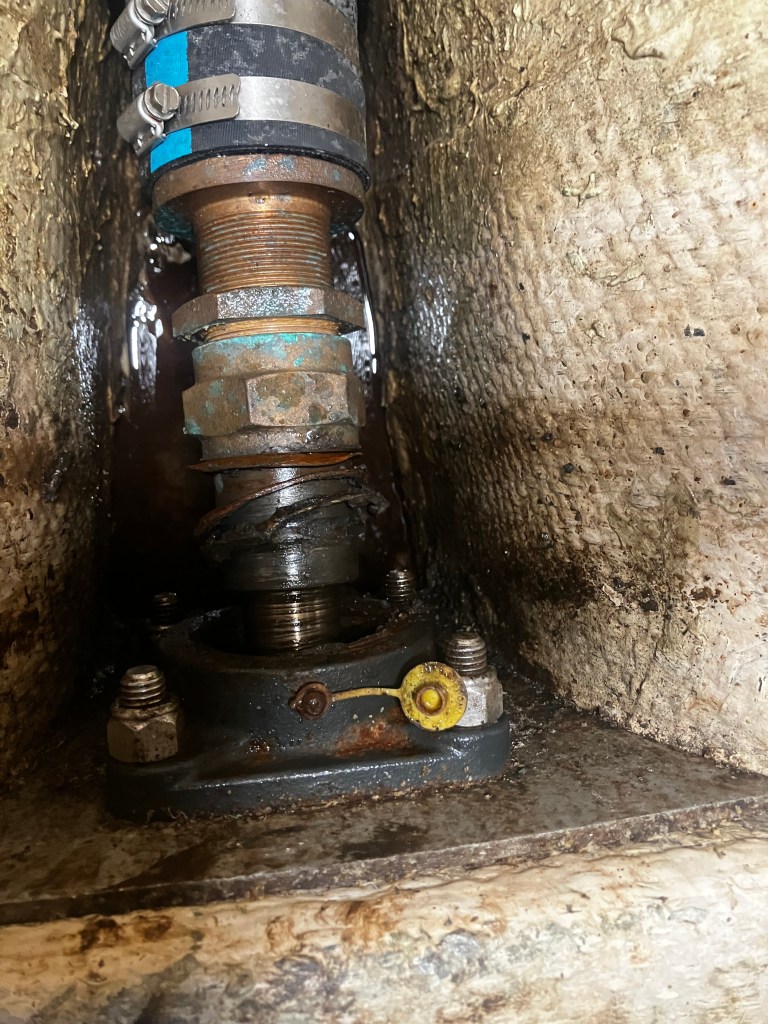 Propeller shaft bearing, showing bearing failed